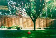 Redwood Fencing from Freedom Fence